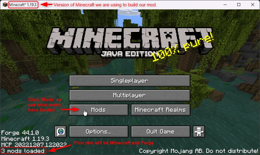 Minecraft loaded